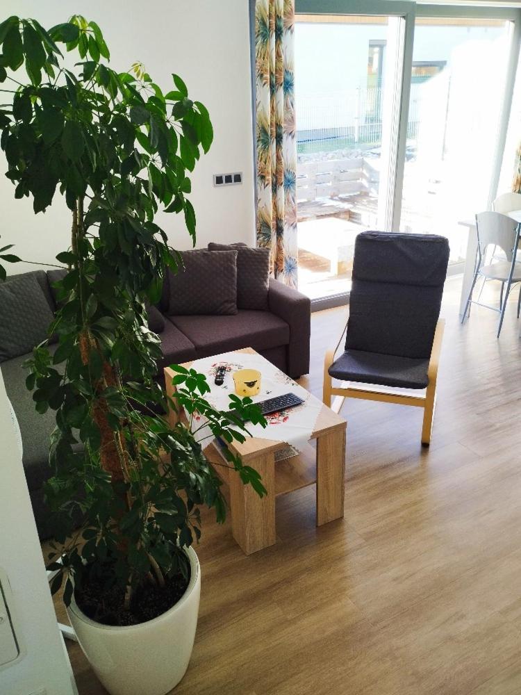 Apartman Dasa Frymburk Kültér fotó
