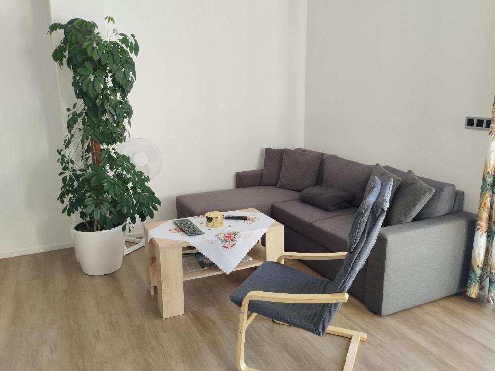 Apartman Dasa Frymburk Kültér fotó